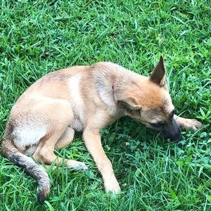 Meet your Posher, Leaha